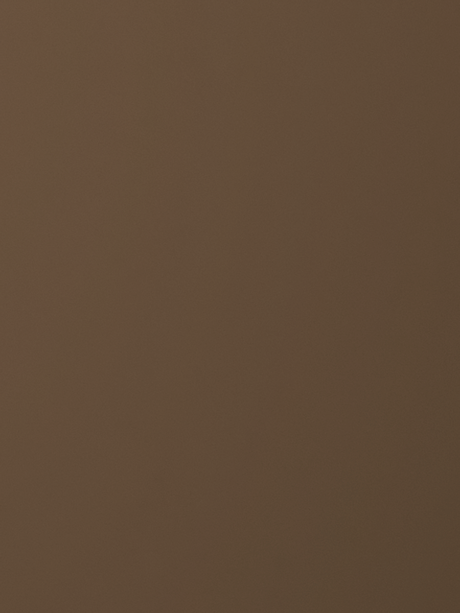 Euro Bronze Sample