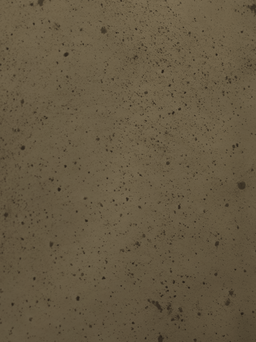 Bianco Bronze Sample