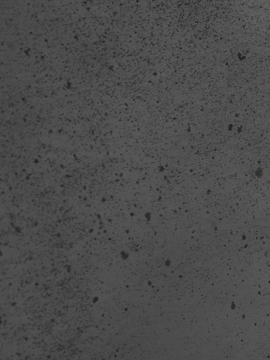 Bianco Fume Sample
