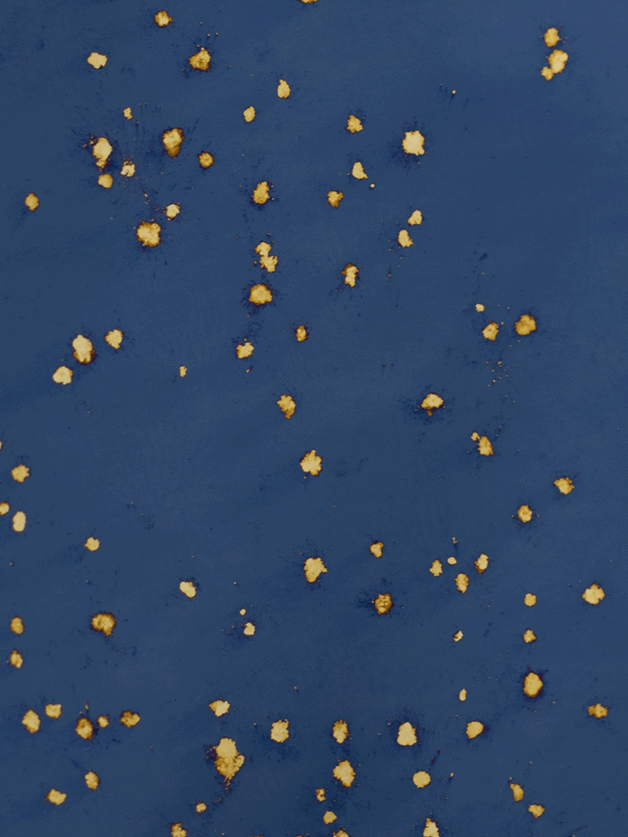 Venetian Polvere Di Stelle Blue Sample
