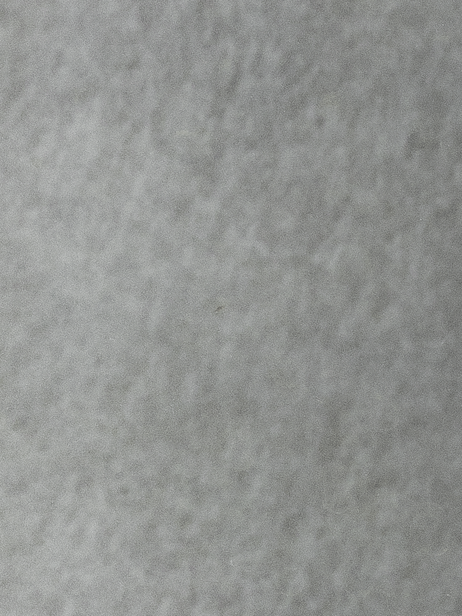 MirrorMatteLux Sand Dollar Sample