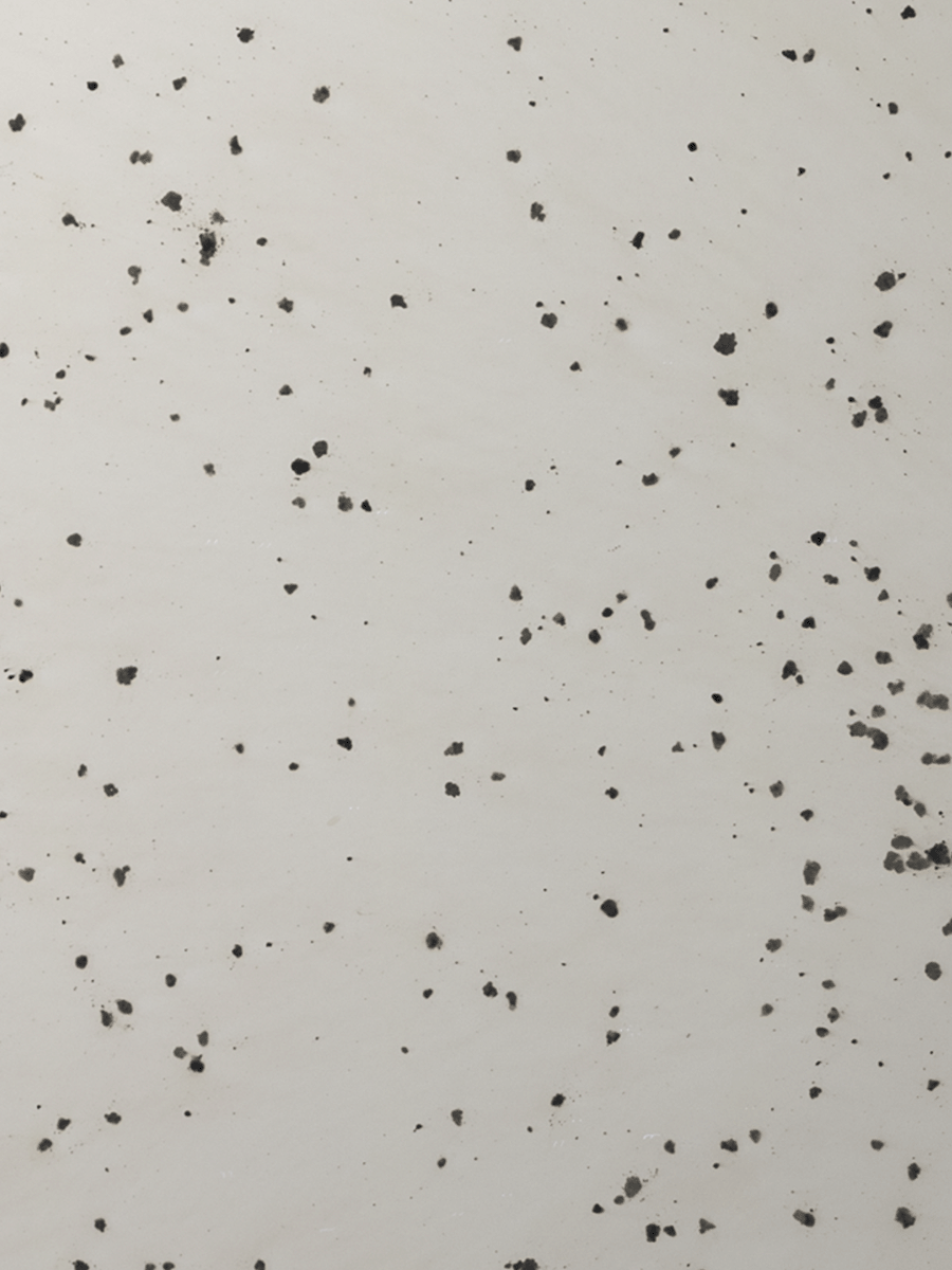 Venetian Meteroa Antique Mirror sample