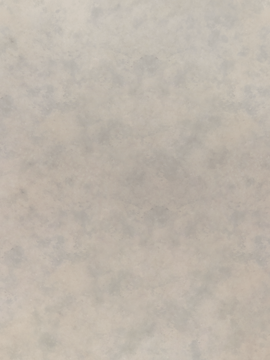 White Antique Mirror Pattern XII Sample