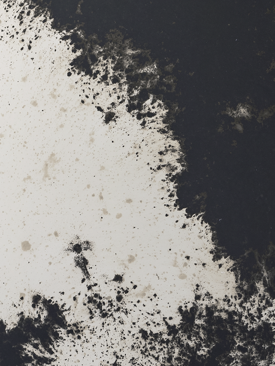 Venetian Luna Sample