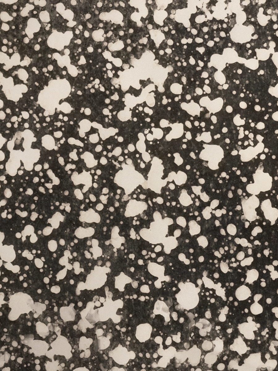 Super Nova Sample