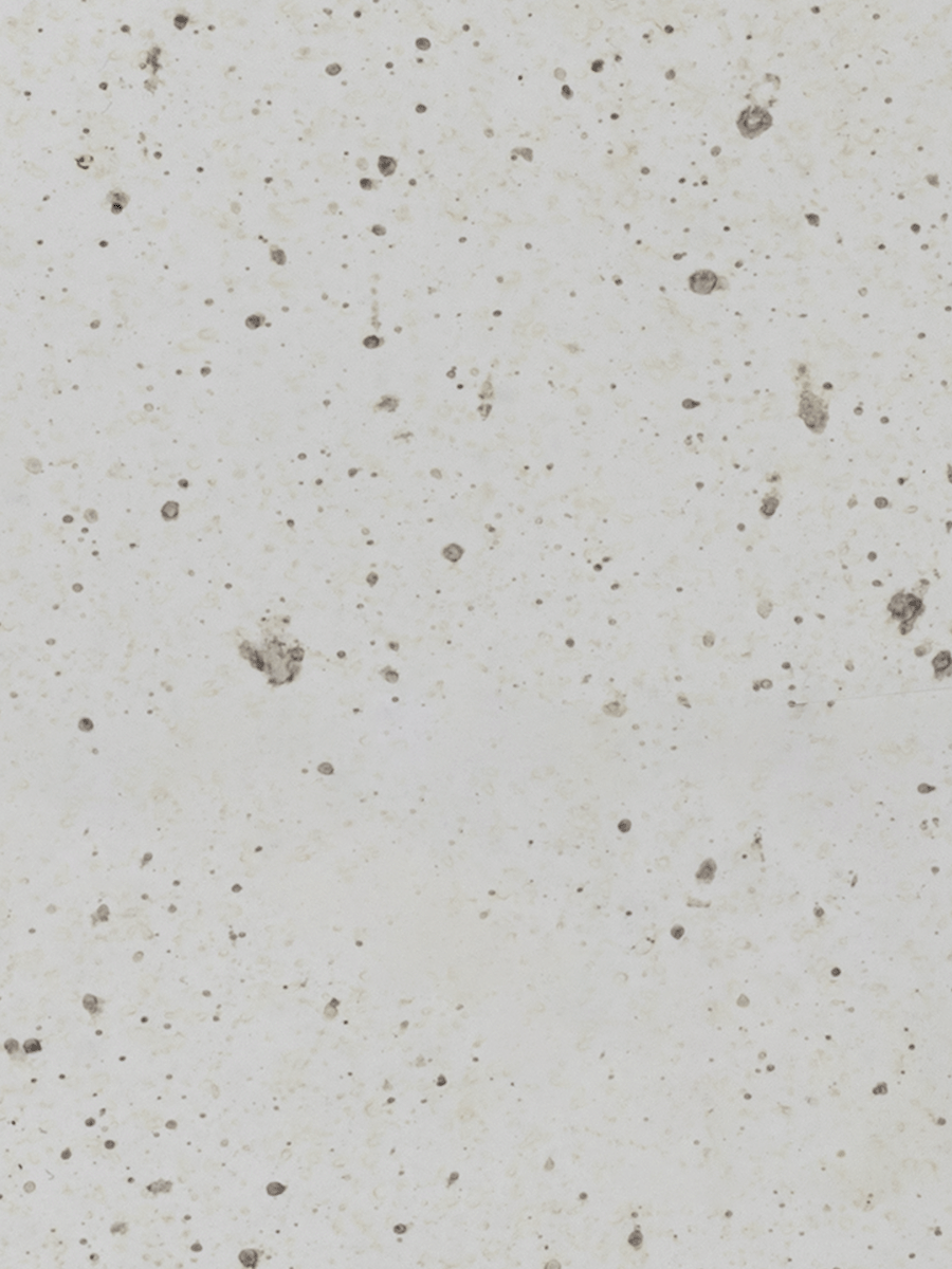 Vintage Mirror Versaille