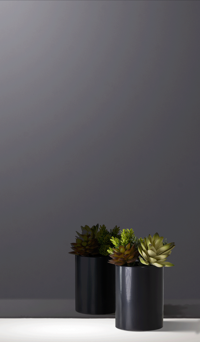 Grey Mirror
