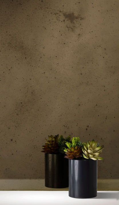 Bianco Bronze Sample