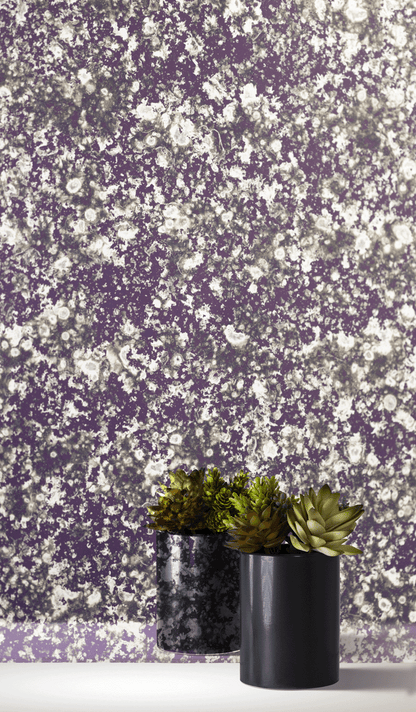 Purple Haze Sample
