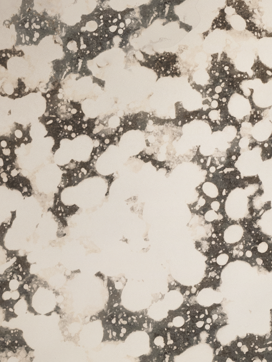 Constellation Sample – Architectural Glass