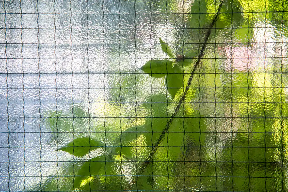 Plant leaves behind slightly blurred wire glass